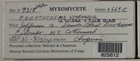 Image Associated With the Occurence